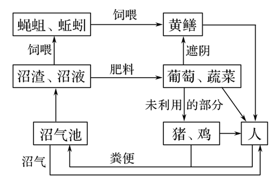 为助力美丽乡村建设,科研人员对南通某地富营养化水体实施生态恢复