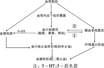 这种现象称为生理性止血,是人体重要的保护机制之一,其凝血机制如下