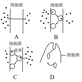 下图表示的是细胞膜的功能之一,请回答