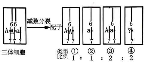 該種植物的雄性育性受一對復等位基因(在種群中,同源染色體的相同位點