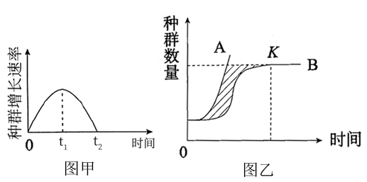 高中生物综合库 稳态与环境 种群和群落 种群 种群数量增长曲线【推荐