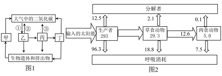 如图表示碳的全球循环,请据图回答下面问题