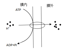 说明: figure