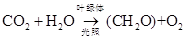 eqId15f0c8b333904f4ca5f075eb56ea15dc