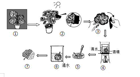 步骤①的作用是防止植物进行光合作用b步骤②是设置实验的变量c步骤