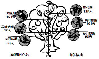 说明: figure
