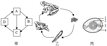 昆虫的生殖和发育 不完全变态发育【推荐2】如下图为昆虫发育的模式图