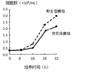 说明: figure