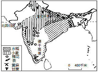 【推薦3】讀印度農作物分佈圖,完成下面小題.