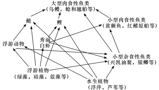 稳态与环境 生态系统及其稳定性 生态系统的结构和生物圈 食物链和