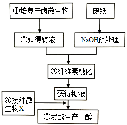 高中生物综合库 发酵工程 微生物的培养与应用 微生物的实验室培养 微