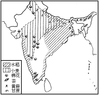 读下图"印度农作物分布图"和"印度矿产分布图,完成下列问题.