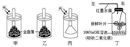 綠色植物的光合作用 光合作用利用二氧化碳作為原料(1)若選擇的實驗