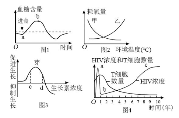 下图是健康人从温暖环境进入寒冷环境时的体温调节模型,有关叙述不