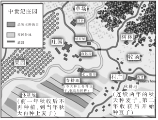 如果你去中世纪的欧洲旁听庄园法庭审判不可能看到的是