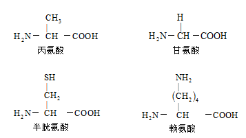 下图是组成人体常见的四种氨基酸关于组成人体氨基酸结构特点的叙述